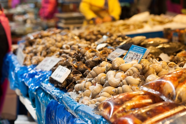 Lumache di mare e altre conchiglie al mercato del pesce, Seoul