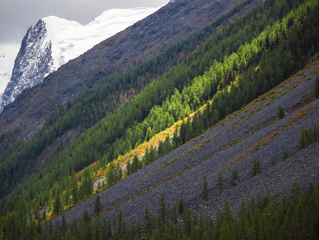 Luminoso scenario alpino con foresta di conifere diagonale grande cresta montuoso e rocce sotto il cielo nuvoloso I pendii delle montagne sono illuminati dal sole