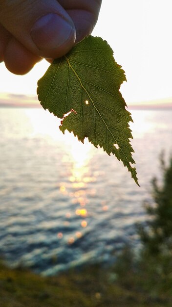 Luminoso tramonto sul fiume Volga in estate