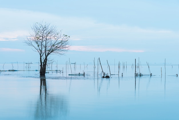 Lumphu nel lago