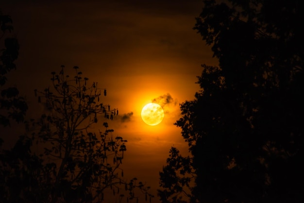 Luna con cielo notturno e nuvole in luna piena