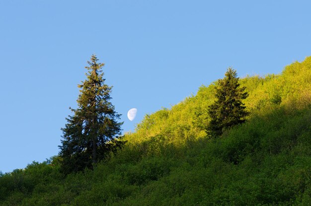 Luna su una collina di montagna