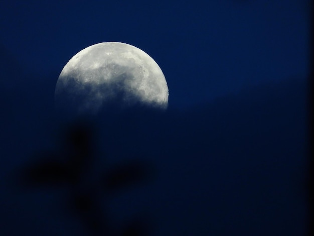 Luna sullo sfondo di foglie e nuvole