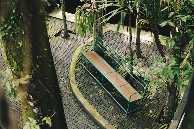 Lunga panchina nel parco con alberi ombrosi