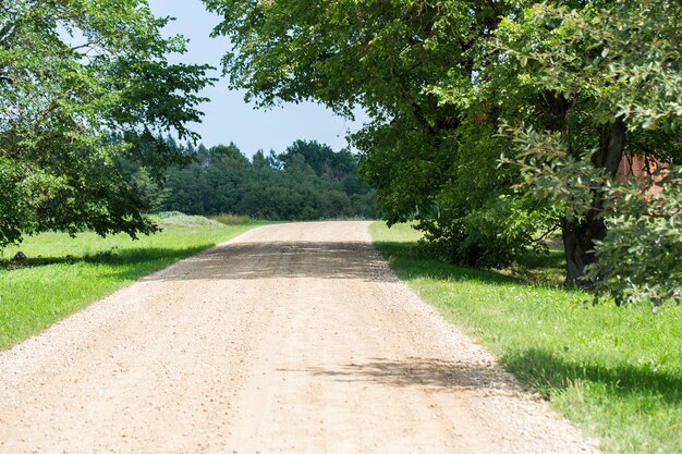 lunga strada leggera nel parco in una soleggiata giornata estiva