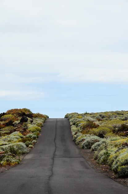 Lunga strada solitaria