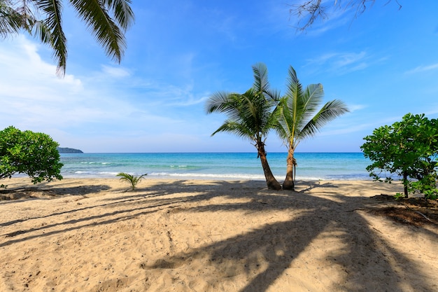 Lunghe spiagge sabbiose e alberi di cocco e brillano dal sole