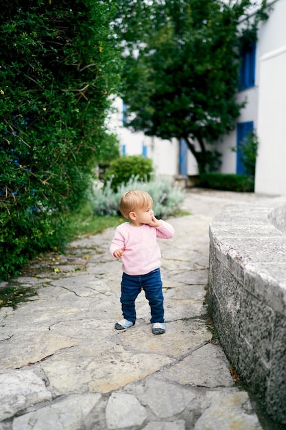 Lunghezza completa di un bambino carino che cammina sul sentiero