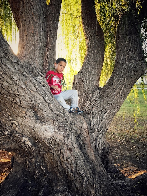 Lunghezza completa di un ragazzo seduto sul tronco di un albero al parco