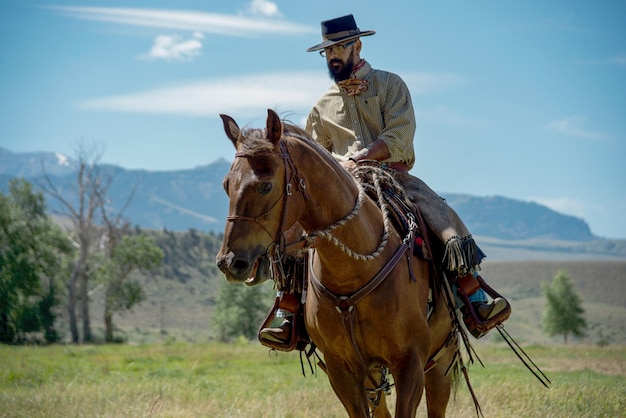 Lunghezza completa di un uomo a cavallo sul campo durante una giornata di sole