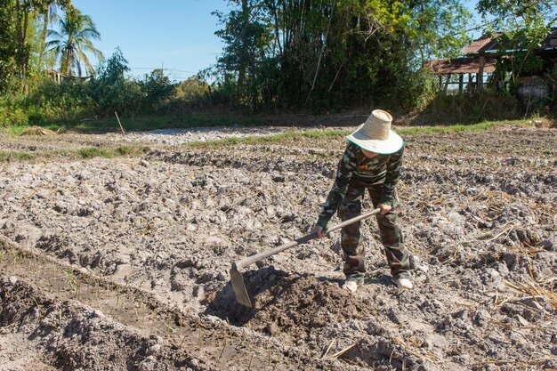 Lunghezza intera della donna che lavora in azienda agricola