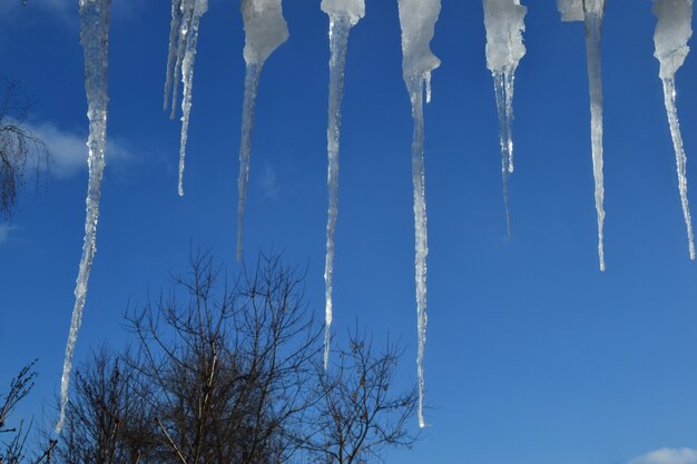 lunghi ghiaccioli appesi al tetto della casa sullo sfondo di un cielo azzurro brillante bright