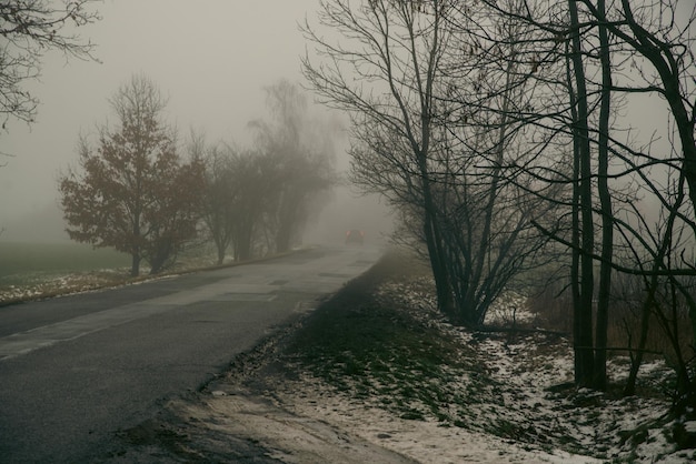 Lungo i prati c'è una strada con nebbia