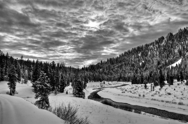 Lungo il sentiero per le motoslitte a Greys River Wyoming, un affluente del fiume Snake