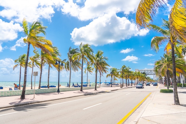 Lungomare con palme in una giornata di sole a Fort Lauderdale