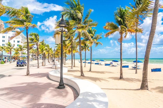 Lungomare spiaggia con palme in una giornata di sole a Fort Lauderdale