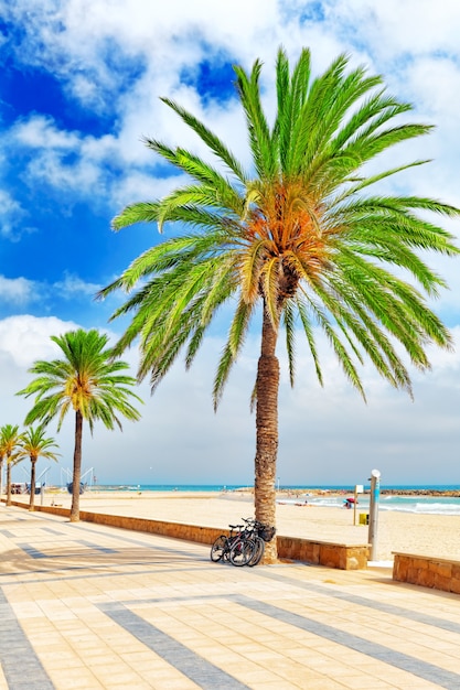 Lungomare, spiaggia, costa in Spagna. Sobborgo di Barcellona, Catalogna