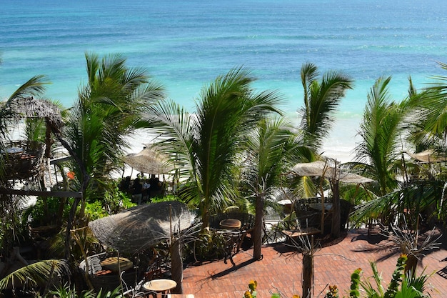 luogo di riposo su una spiaggia tropicale pittoresco paesaggio esotico palme in riva al mare