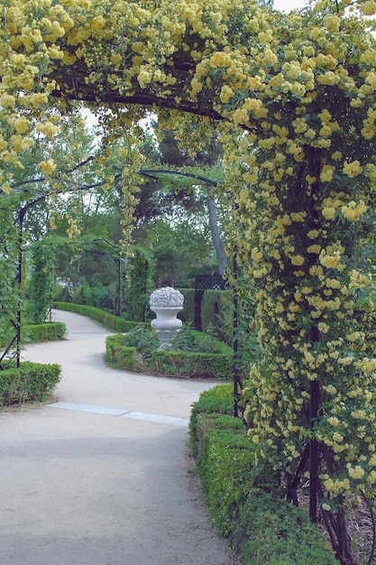 Luogo per una cerimonia nuziale decorato con archi floreali di rose