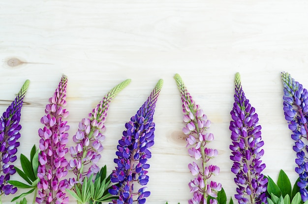 lupini di fiori per bouquet su fondo in legno. fiori di campo stagionali.