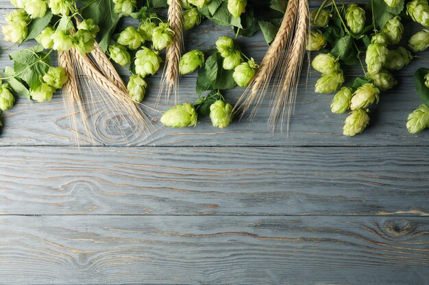 Luppolo e grano sulla tavola di legno, spazio per il testo