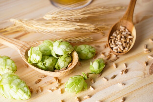 Luppolo e orzo in cucchiai di legno