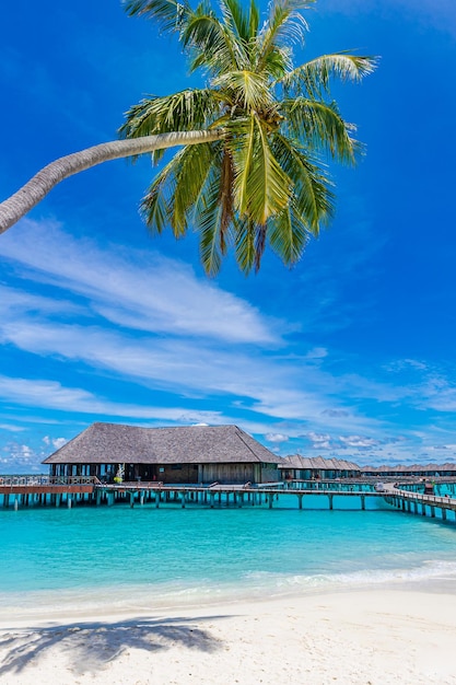 Lussuose ville sull'acqua del resort delle Maldive, palme sulla sabbia bianca, vicino al mare blu, molo marino