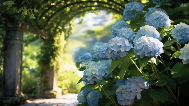 Lussuoso cespuglio di ortensie blu su uno sfondo sfocato del giardino con colonne in pietra