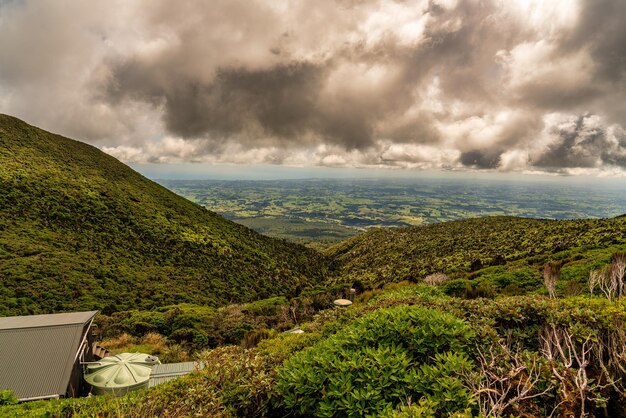 Lussureggiante boscaglia nativa sulle pendici del monte Taranaki, escursione fino alle montagne alpine Pouakai Tarns