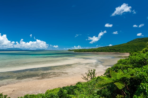 Lussureggiante collina dell'isola di Iriomote