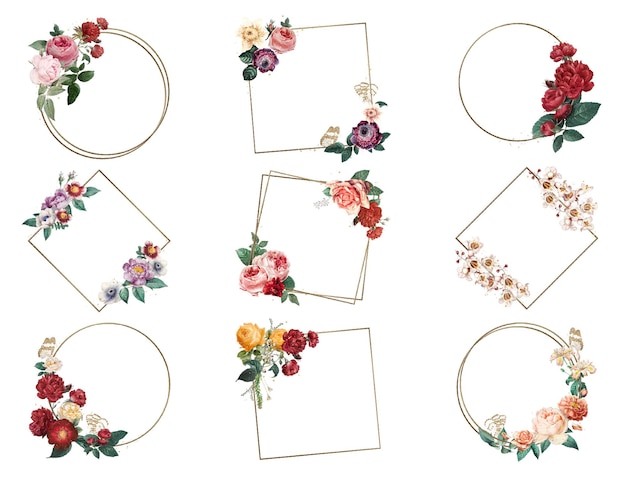 Luxury summer roses gold png frame collezione di illustrazioni ad acquerello