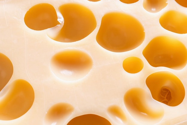 Maasdam Cheese texture macro shot sfondo astratto