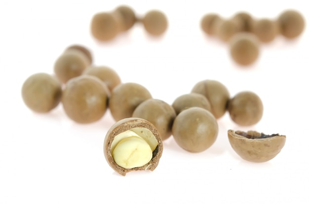 Macadamia