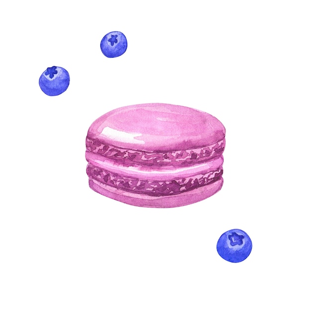 Macaron viola e mirtilli rossi. Illustrazione dell'acquerello disegnato a mano. Isolato sulla parete bianca.