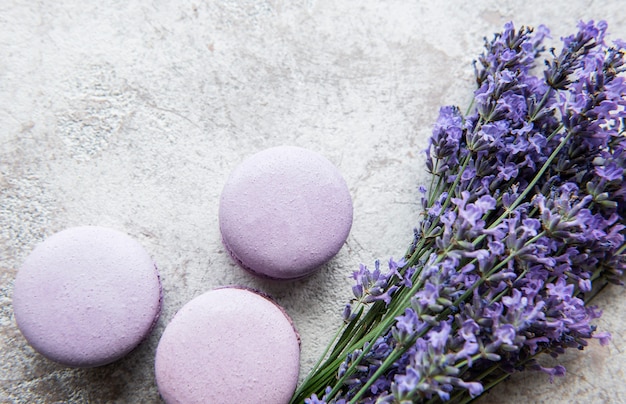 Macarons francesi con sapore di lavanda e fiori di lavanda freschi su uno sfondo di cemento