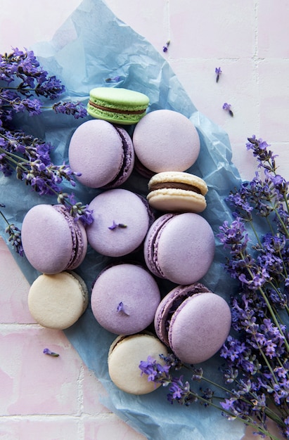 Macarons francesi con sapore di lavanda e fiori di lavanda freschi su uno sfondo di piastrelle