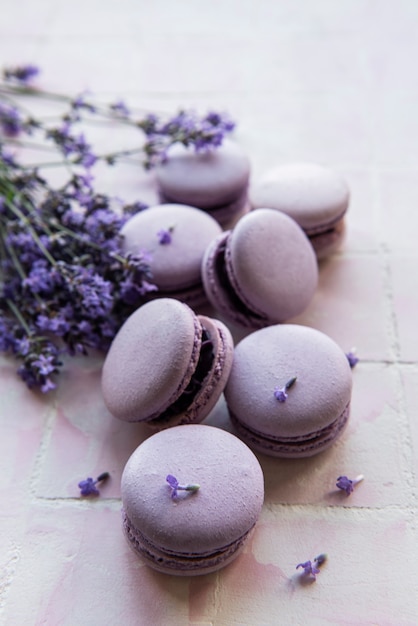 Macarons francesi con sapore di lavanda e fiori di lavanda freschi su uno sfondo di piastrelle