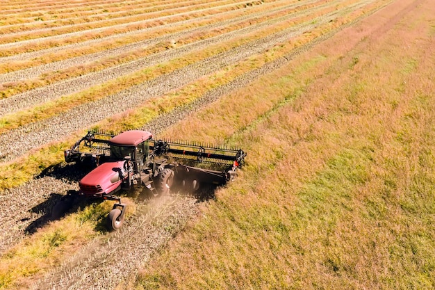 Macchina agricola che raccoglie il raccolto nei campi Il trattore tira un meccanismo per la fienagione La raccolta in autunno al mattino all'alba agroalimentare nella regione di Altai Russia