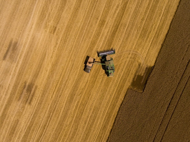 Macchina della mietitrice che lavora nel giacimento di grano dei raccolti. Vista aerea.