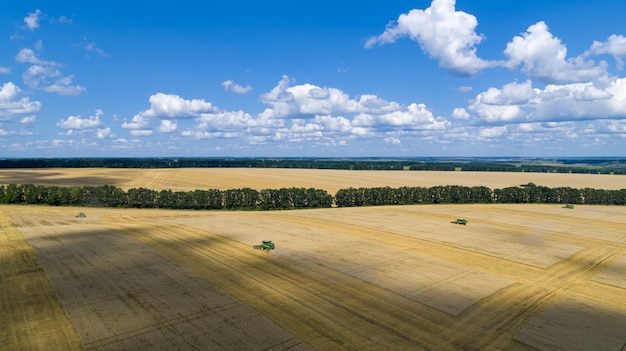 Macchina della mietitrice per raccogliere la vista aerea di lavoro del campo di grano.