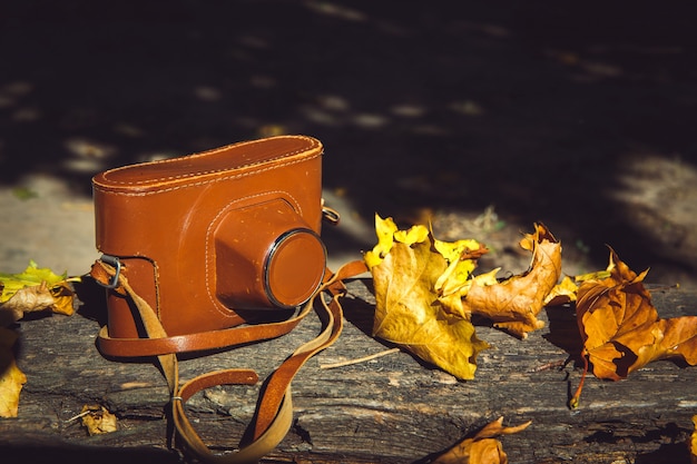 Macchina fotografica d&#39;epoca sulla panca di legno