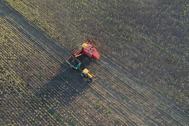 Macchina mietitrice raccolta nella campagna argentina provincia di Buenos Aires Argentina