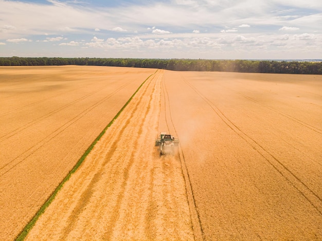 Macchina per la raccolta che lavora sul campo Vista dall'alto dal drone Macchina agricola per mietitrebbia in giro sul campo