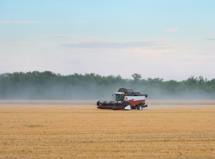 Macchina per la raccolta del grano lavorando sul campo
