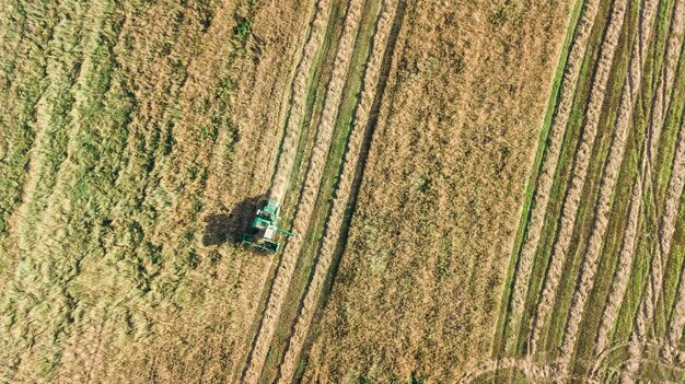 Macchina per mietitrebbia che lavora nel campo vista aerea dall'alto macchina per l'agricoltura della mietitrebbia