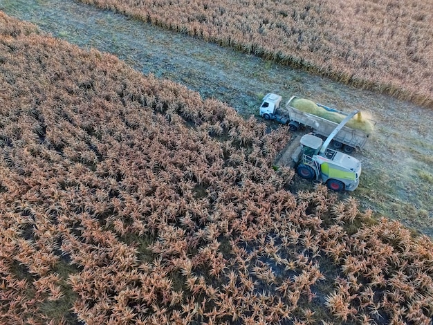 Macchine agricole che lavorano nel campo argentino a La Pampa Argentina