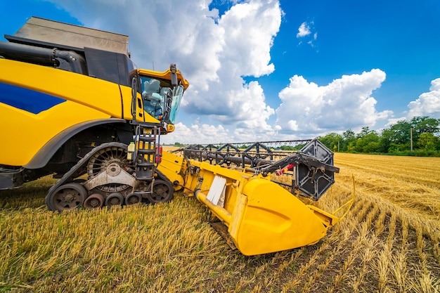 Macchine agricole per la raccolta delle colture nei campi Tecnica speciale in azione tecnica agricola nel campo Macchinari pesanti cielo blu sopra il campo