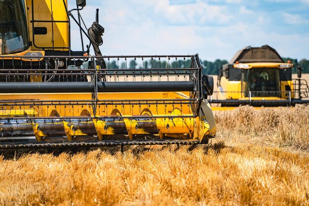 Macchine per la raccolta del grano sul campo Tempo di raccolta Settore agricolo