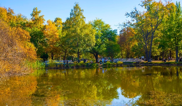 Macedonia Skopje 29 ottobre 2023 Parco cittadino di Skopje con foglie gialle sugli alberi in autunno