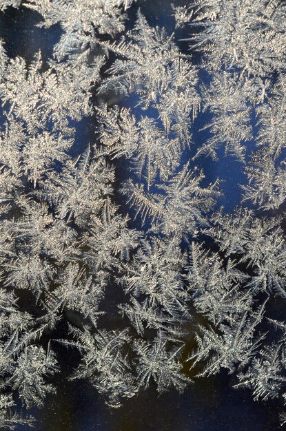 Macro di brina dei fiocchi di neve sulla lastra di vetro di finestra